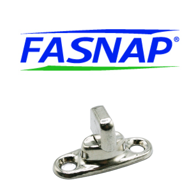 Review Fasnap Corp. image 50998