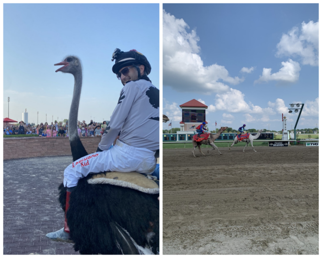 Review Prairie Meadows Racetrack and Casino image 18175