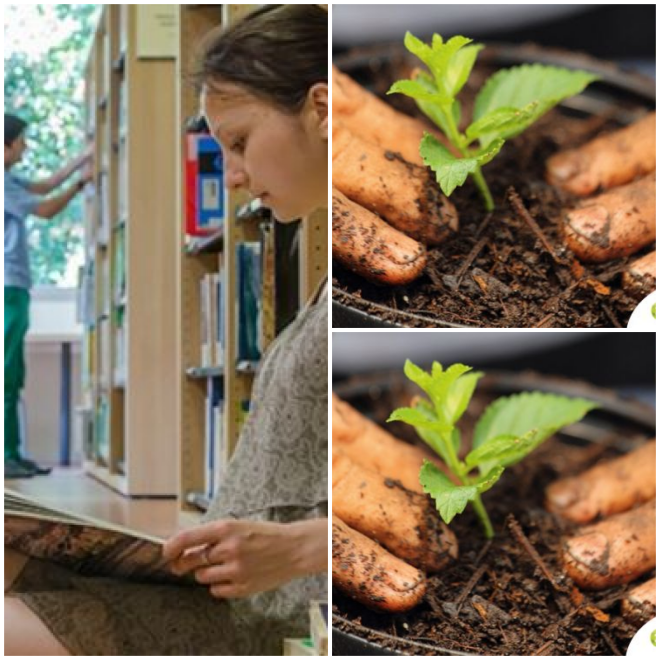 Review Groupe ESA, Ecole Supérieure d'Agriculture d'Angers image 7816