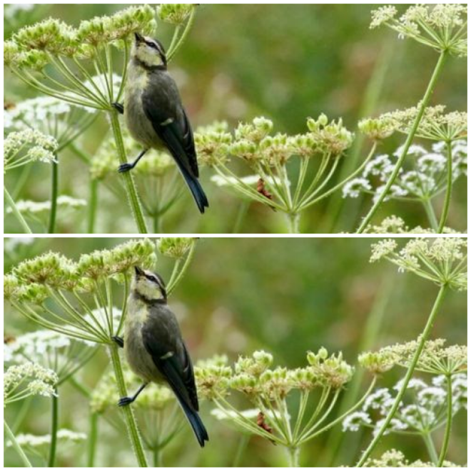 Review Groupe ESA, Ecole Supérieure d'Agriculture d'Angers image 7818