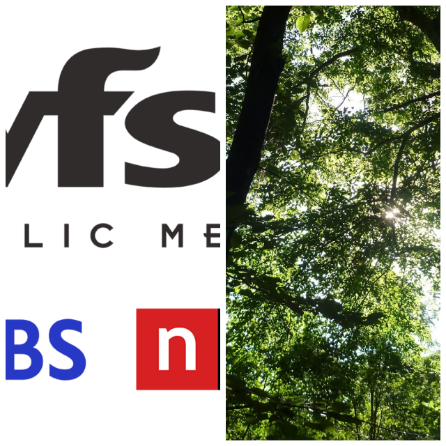 Review WFSU TV Public Broadcasting image 153491
