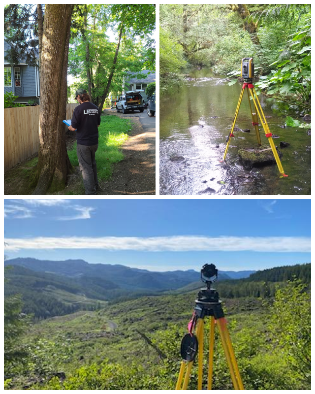 Review LEI Engineering and Surveying image 108572