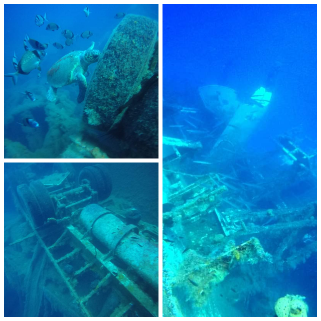 Review Viking Divers image 138240