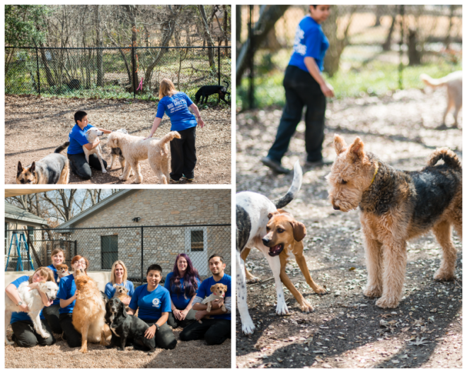 Review Shady acres pet ranch image 353180