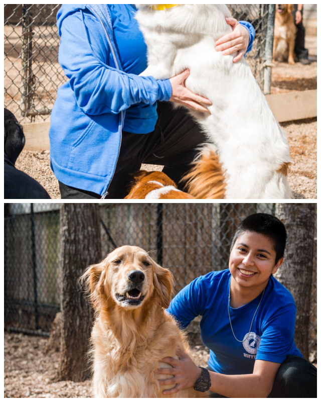 Review Shady acres pet ranch image 353181