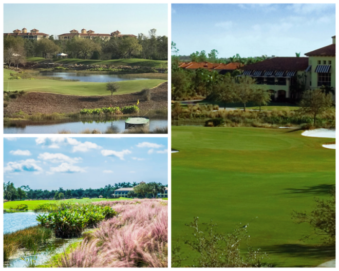 Review Tiburon Golf Club image 92965