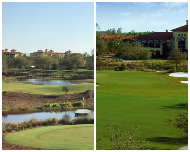 Review Tiburon Golf Club image 92966