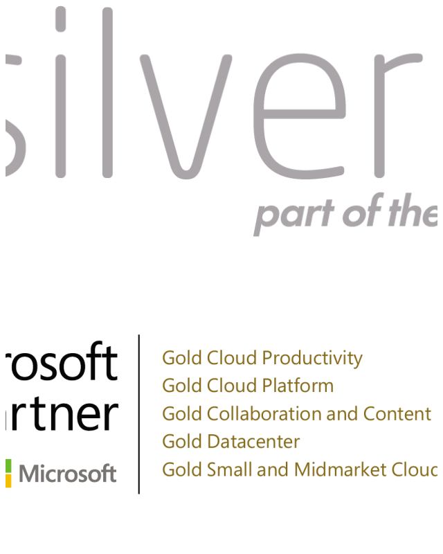 Review Silverbug image 18784