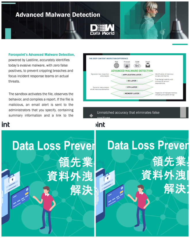 Review Data World Computer & Communication Ltd. image 6731