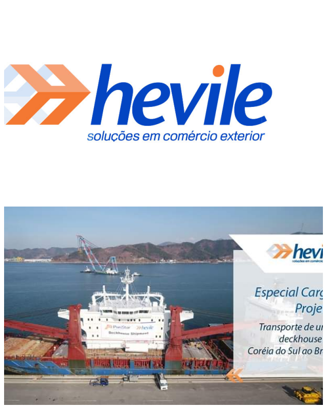 Review Hevile Agenciamento de Cargas e Representação Ltda. image 60180