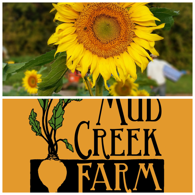 Review Mud creek farm image 324730