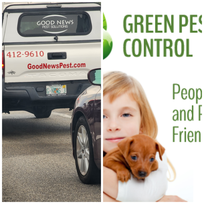 Review Good news pest solutions image 291194