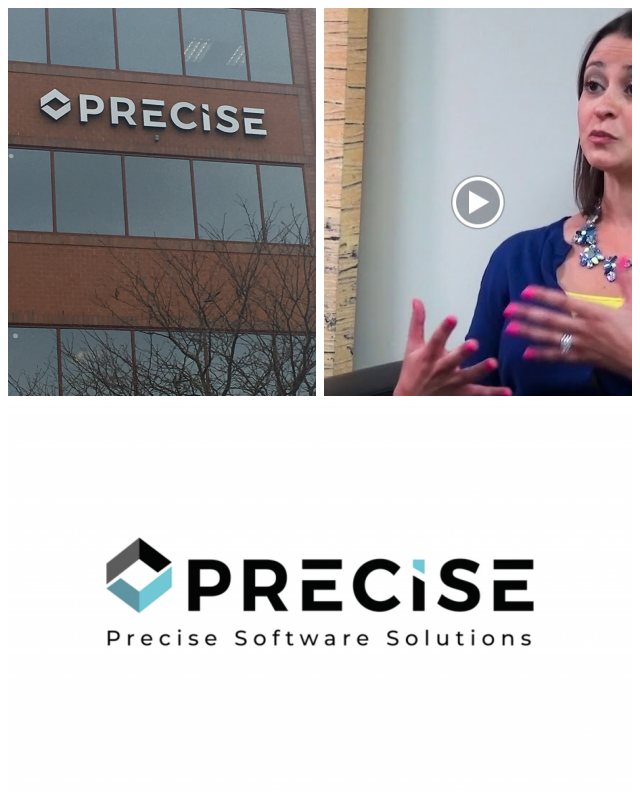 Review Precise Software Solutions, Inc image 141271