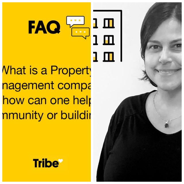 Review Tribe Management image 44920