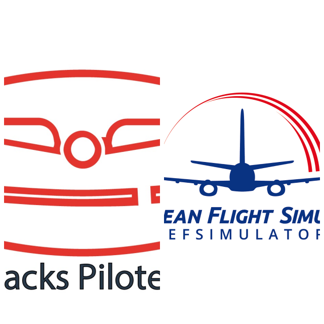 Review EUROPEAN FLIGHT SIMULATOR image 205615