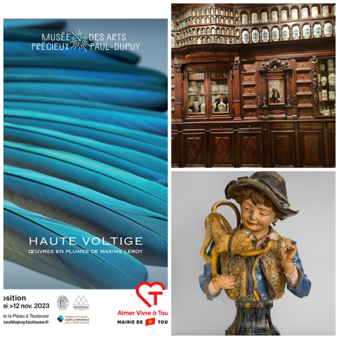 Review Amis du musée Paul-Dupuy image 175714