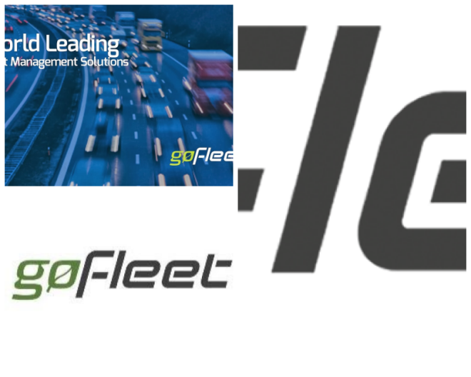 Review Go Fleet Corporation image 207527
