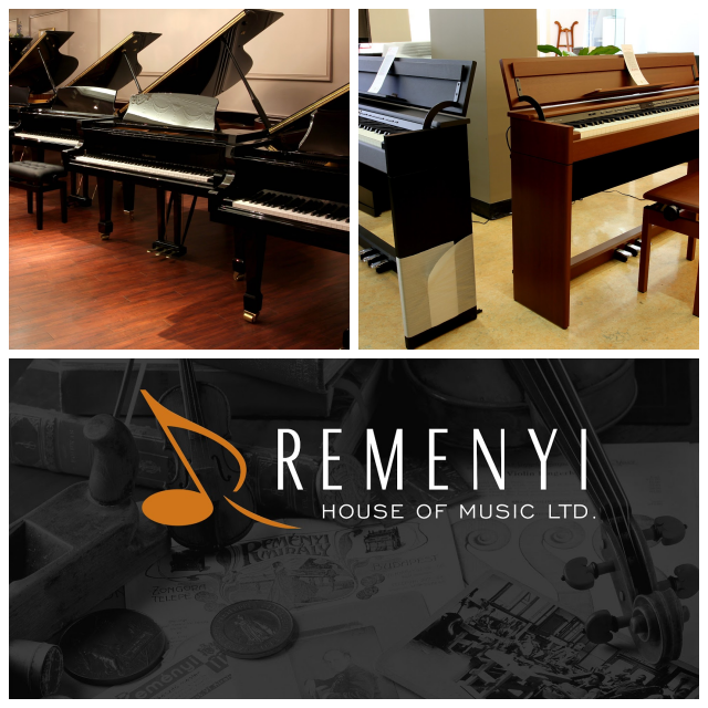 Review Remenyi House of Music image 196972