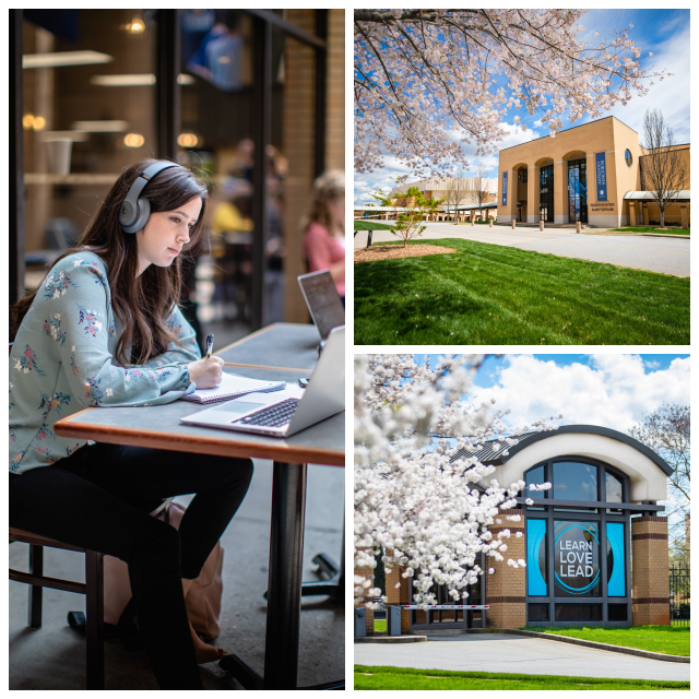 Review Bob jones university image 239728