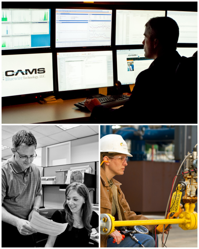 Review Consolidated Asset Management Services image 4212