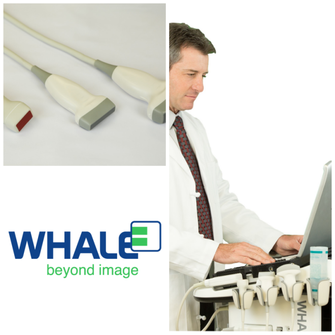 Review Whale Imaging image 155934