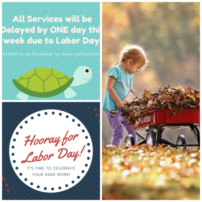 Review Walters recycling and Refuse image 71381