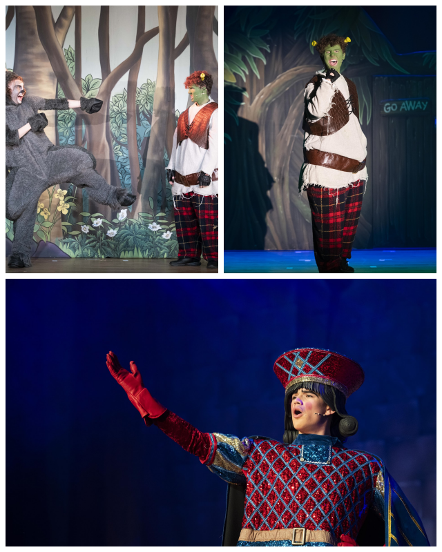 Review ACS - Cobham image 77170
