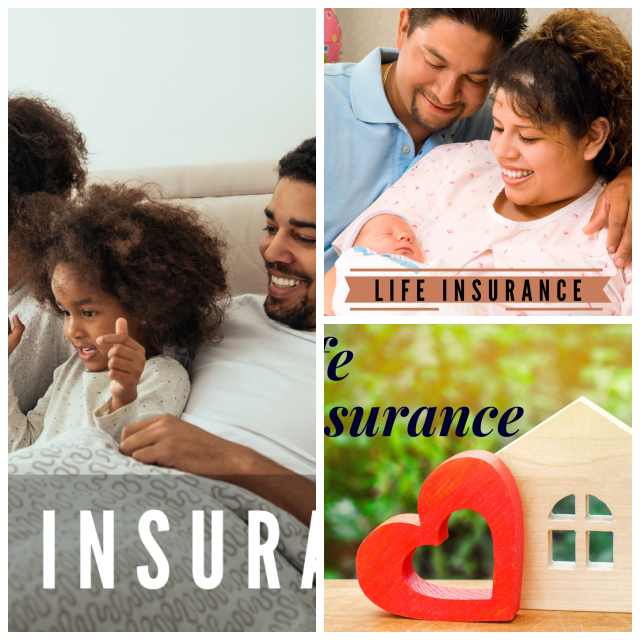 Review Insurefit rm image 302166