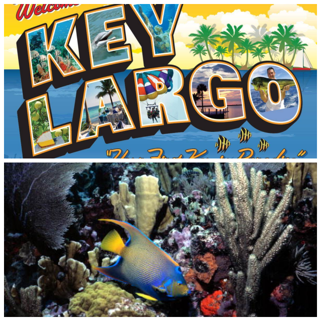 Review Key Largo Chamber of Commerce image 14430