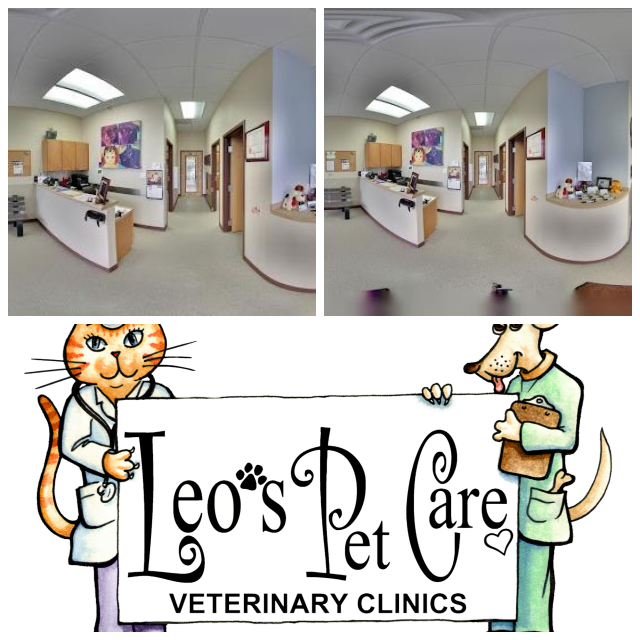 Review Leo's pet care image 312409