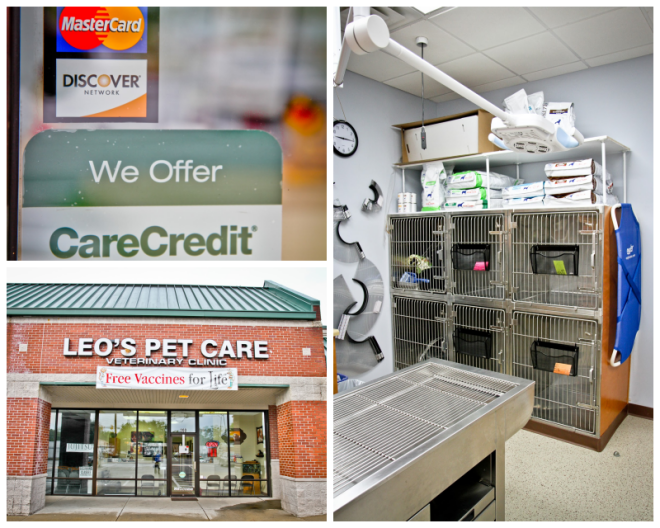 Review Leo's pet care image 312410