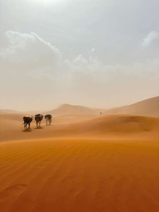 Review Voyagiste Maroc image 356511