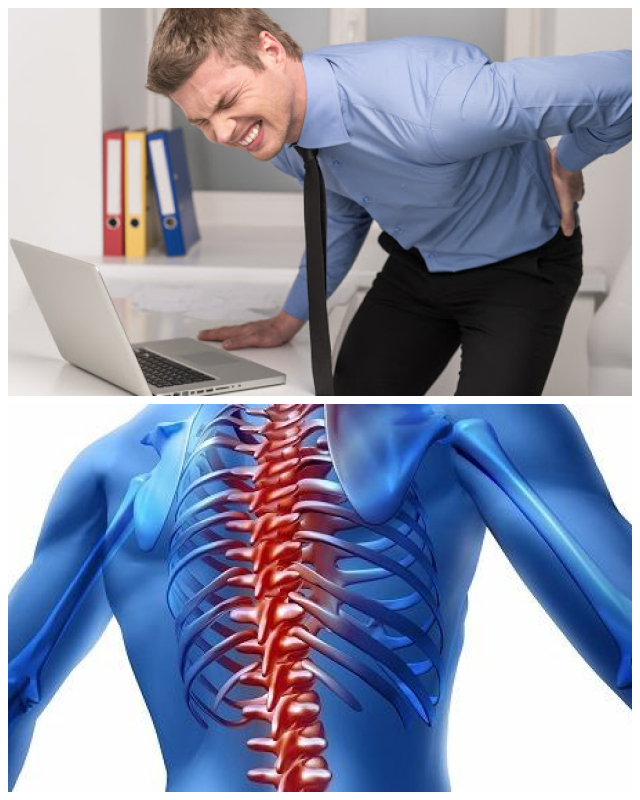 Review Back Country Physical Therapy image 72838