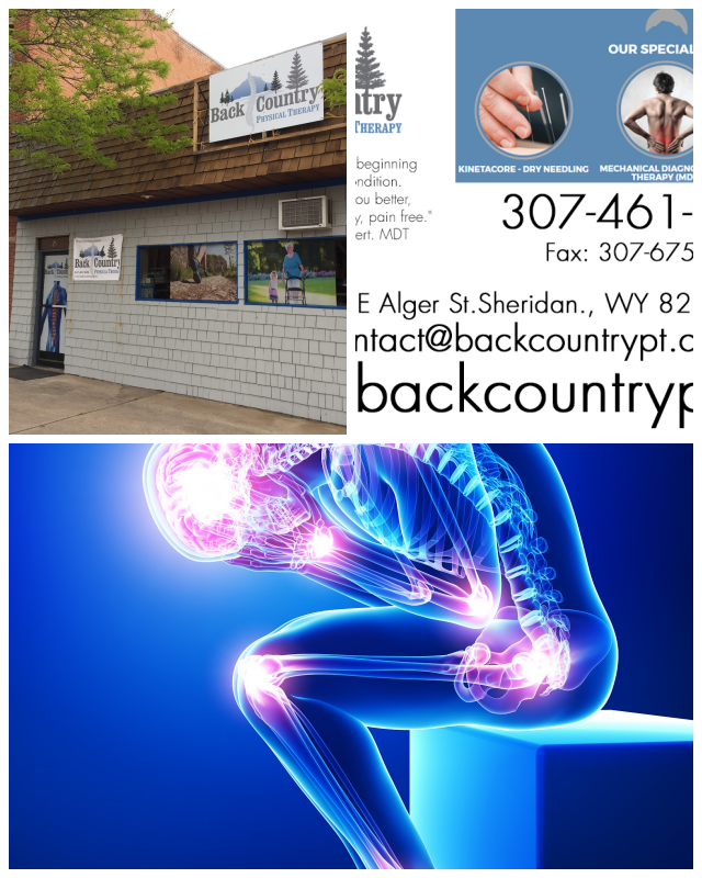 Review Back Country Physical Therapy image 72839