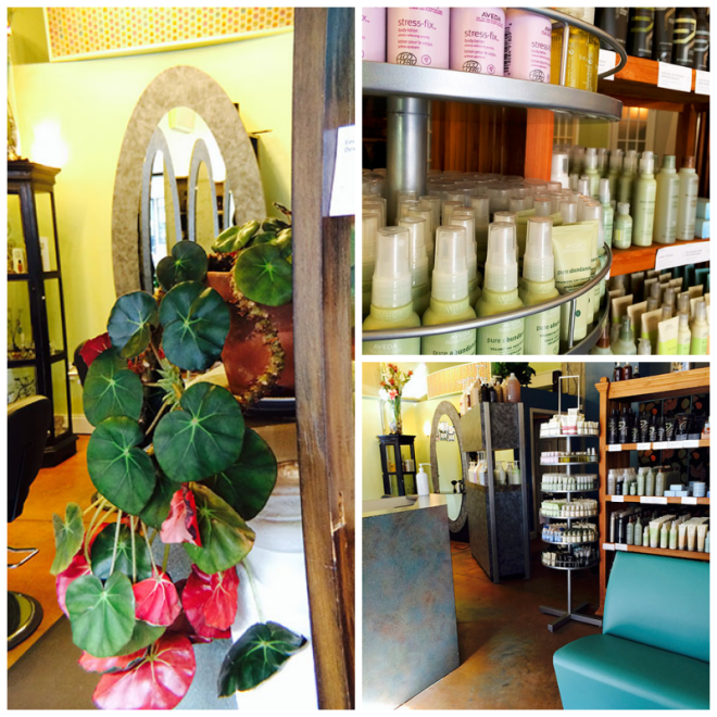 Review Terra Mater Salon image 197206