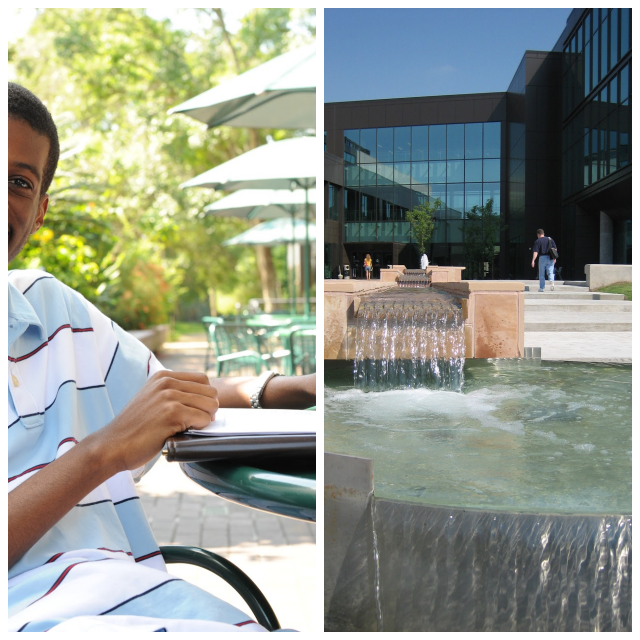 Review University of houston-clear lake image 239984