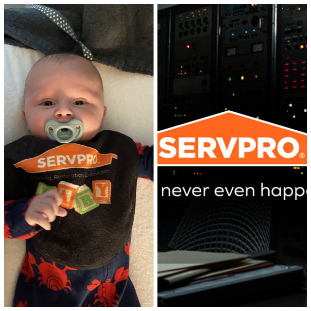 Review Servpro of downtown charleston image 352576