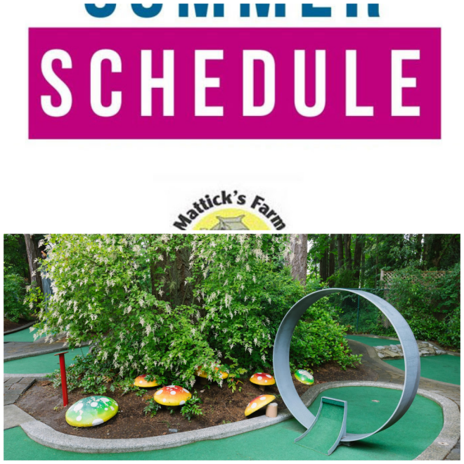 Review Cordova Bay Mini Golf image 932