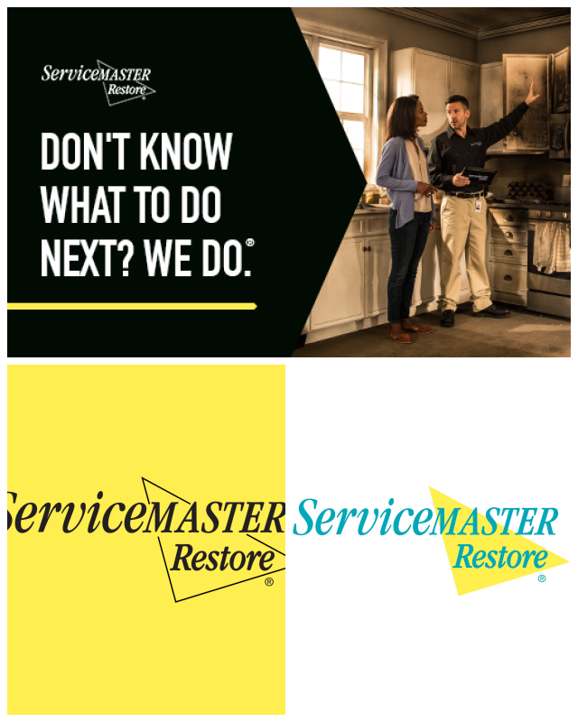 Review Servicemaster dsi image 245851