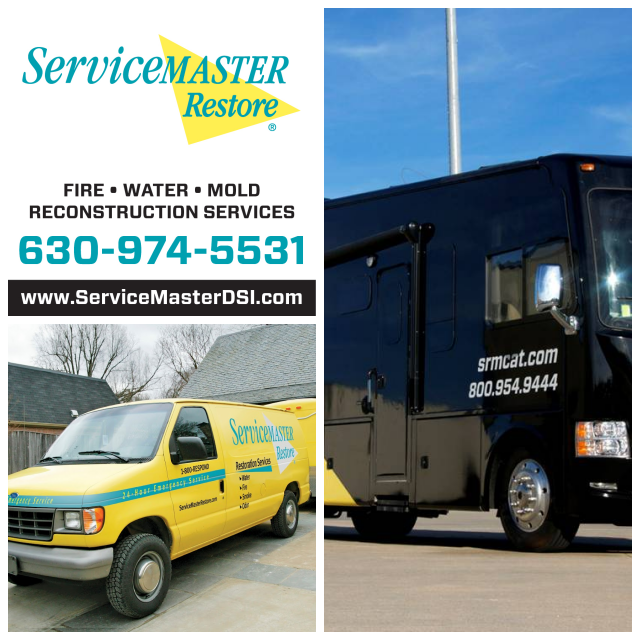 Review Servicemaster dsi image 245852