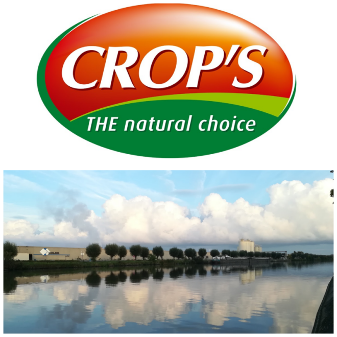 Review Crop's image 238392