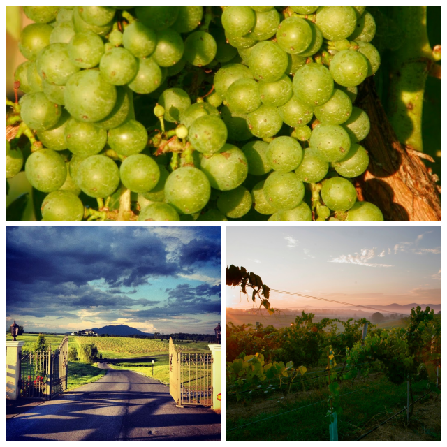 Review CrossKeys Vineyards image 90787