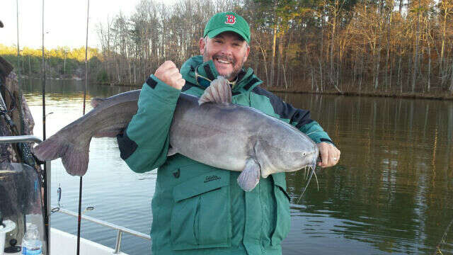 Review Lake Oconee Fishing Guides image 358652