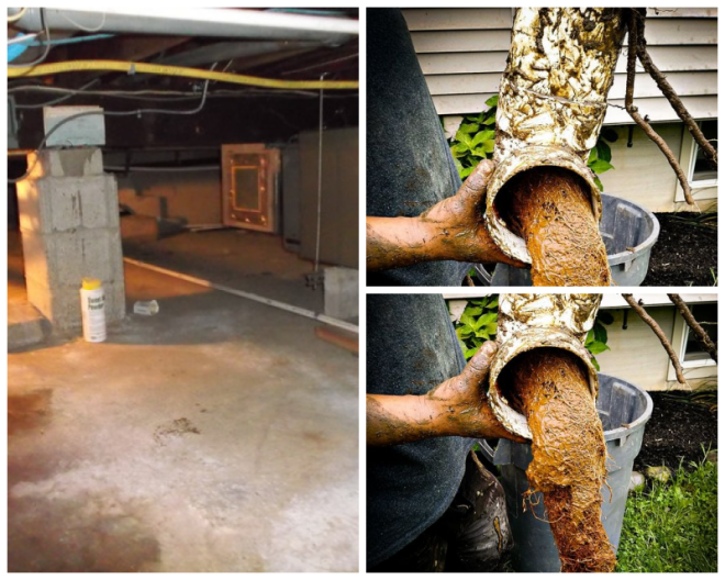Review Dry Guys Basement Systems image 50728