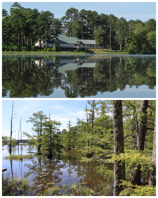 Review Noxubee National Wildlife Refuge image 209436
