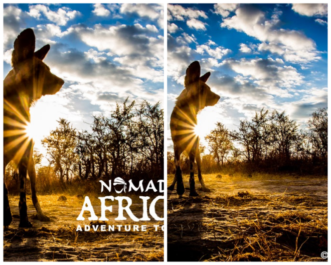 Review Nomad adventure tours image 15166