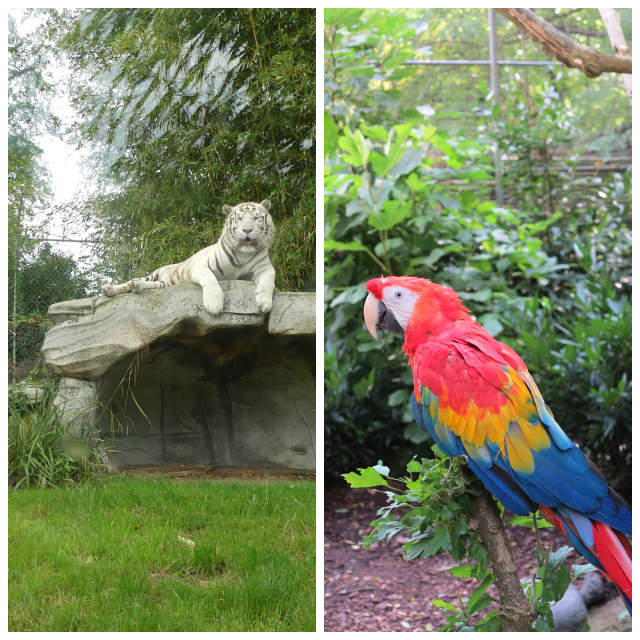 Review Asson Zoo image 101497
