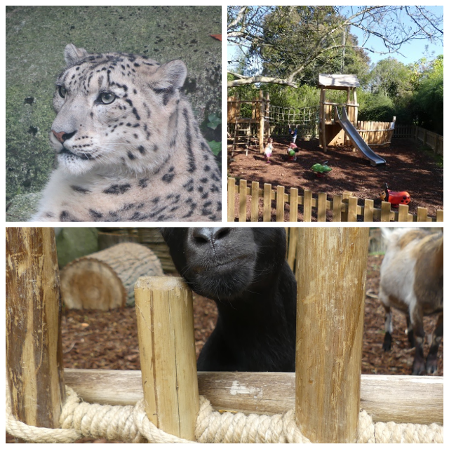 Review Asson Zoo image 101500
