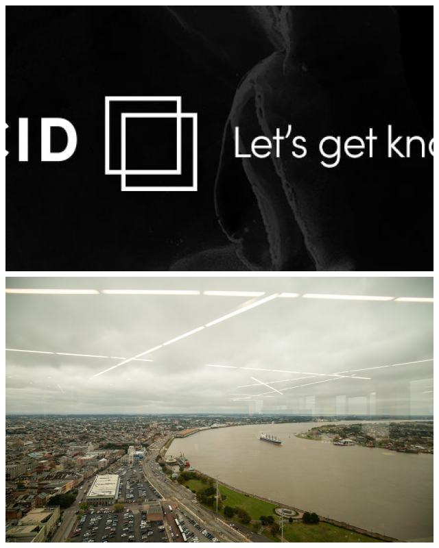 Review Lucid, llc image 251135