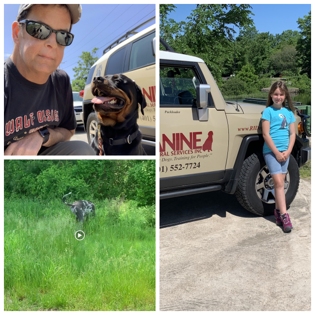 Review Canine behavioral services inc. image 306582